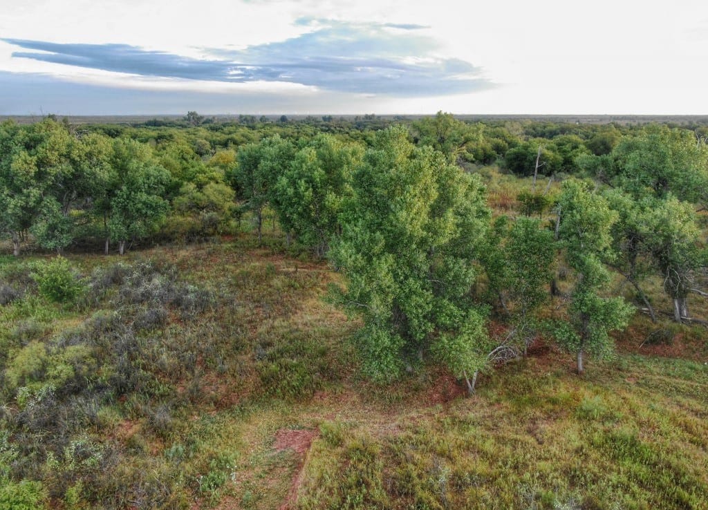 287 acres in Wilbarger County