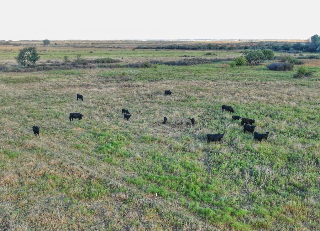 287 acres in Wilbarger County