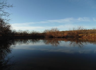 113 acres in Taylor County