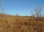 113 acres in Taylor County