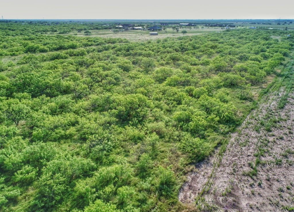 11 acres in Archer County