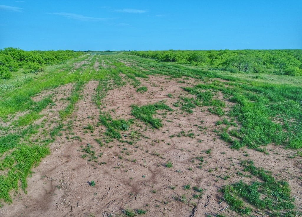11 acres in Archer County