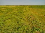 11.4 acres in Archer County