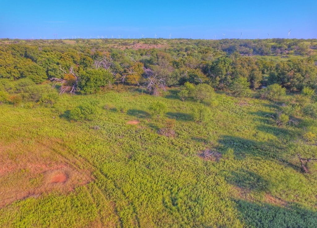 1,031 acres in Archer County