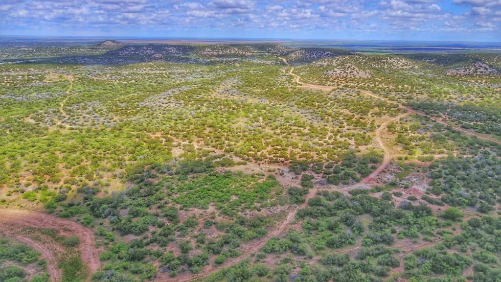 Guide to Buying Hunting Land Texas Hunting Land LLC