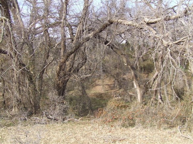 2,473 acres in Wilbarger County