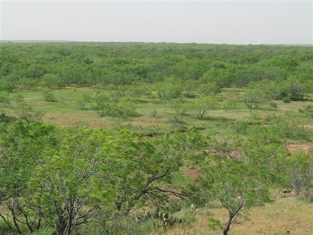 3,830 acres in Baylor County