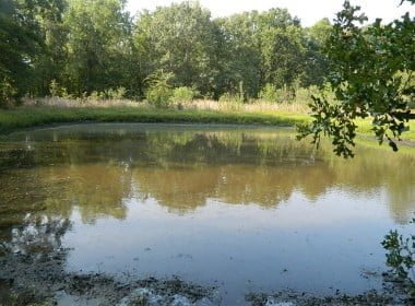 13 acres in Bowie County