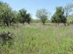 360 acres in Baylor County