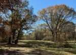 42 acres in Red River County