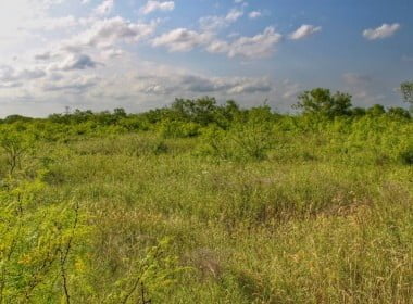 11 acres in Archer County