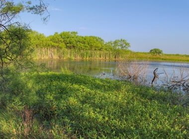 11.4 acres in Archer County