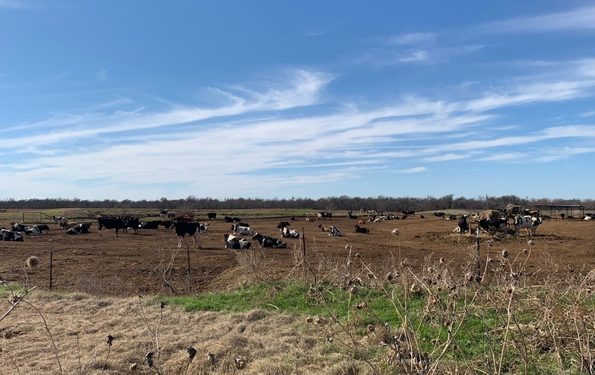 426 acres in Archer County
