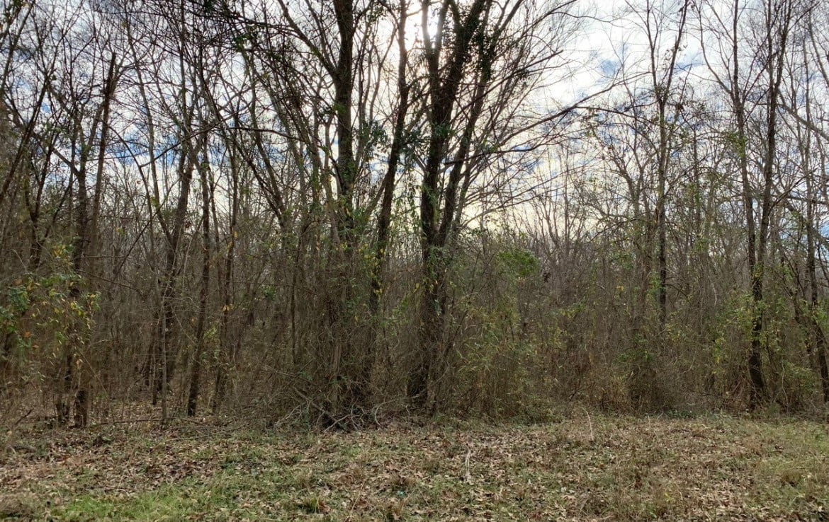13.5 acres in Red River County