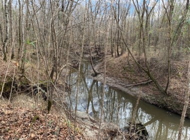 12 acres in Red River County