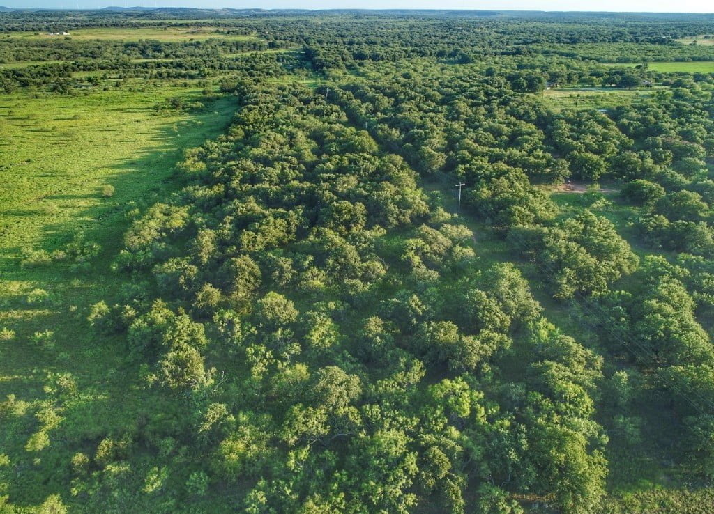 193 acres in Young County