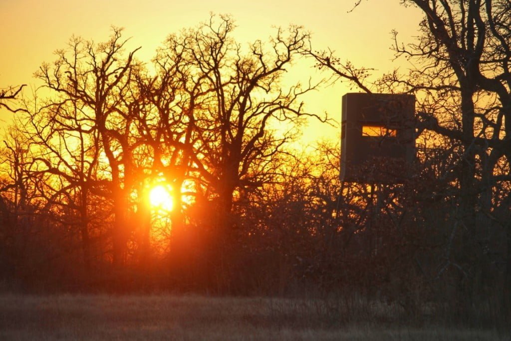 Jack County Texas Land for Sale Texas Hunting Land LLC