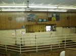 Vernon Livestock Auction