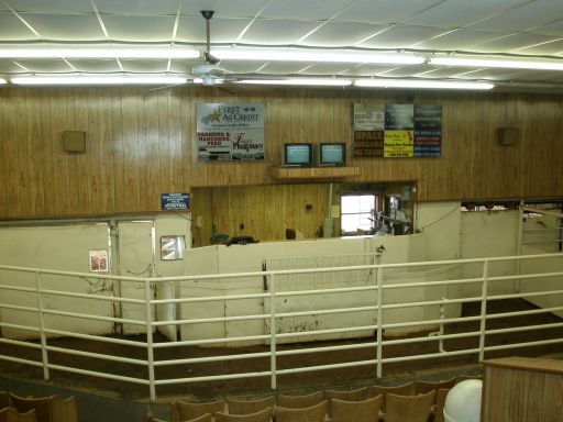 Vernon Livestock Auction