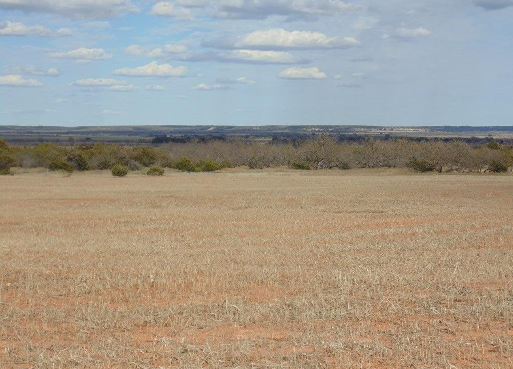 31 acres in Taylor County