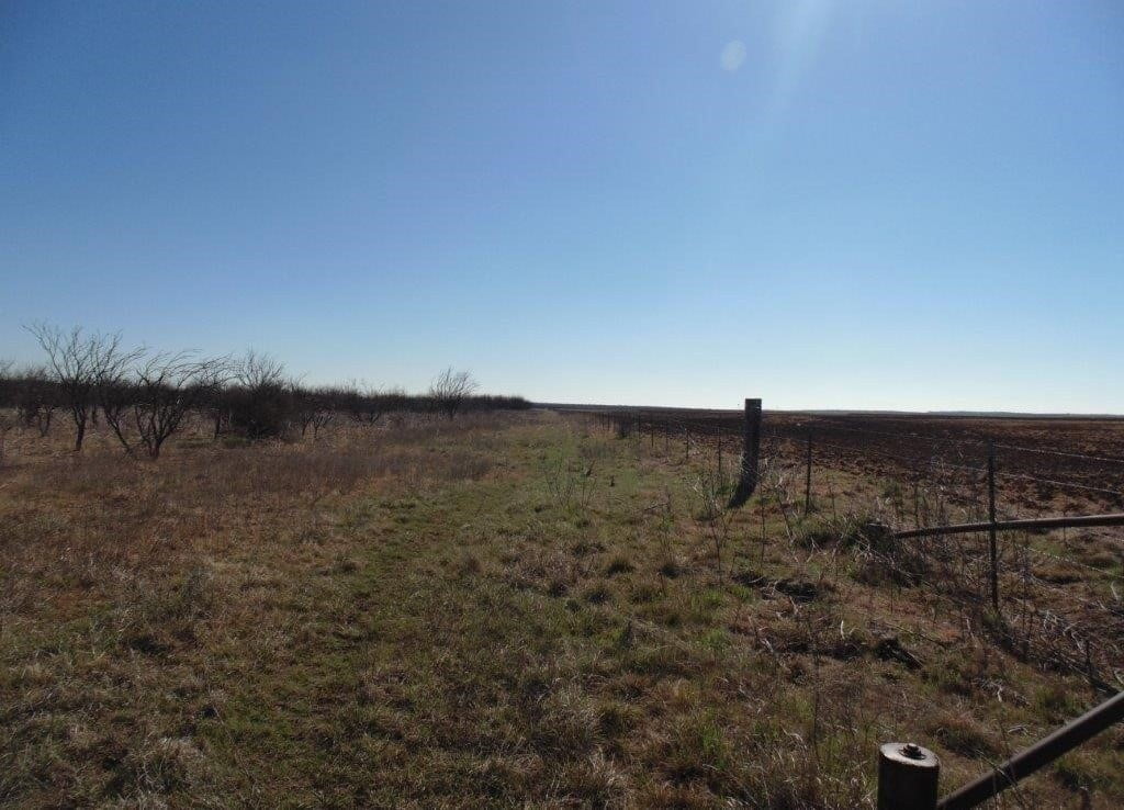 535 acres in Taylor County