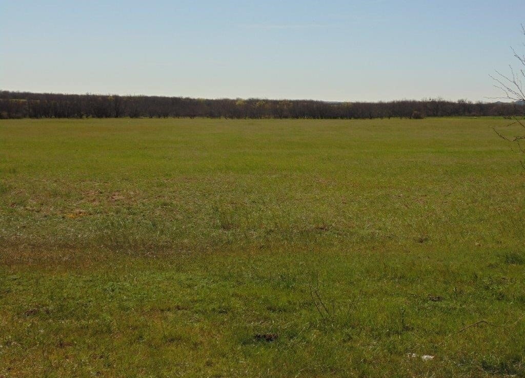 535 acres in Taylor County