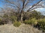 20 acres in Taylor County