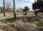 20 acres in Taylor County