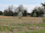 22 acres in Red River County