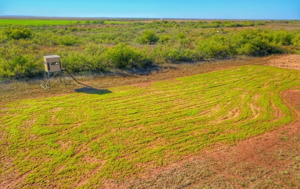200 acres in Childress County Texas Hunting Land LLC