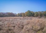 216 acres in Red River County