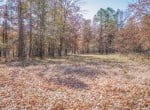 216 acres in Red River County