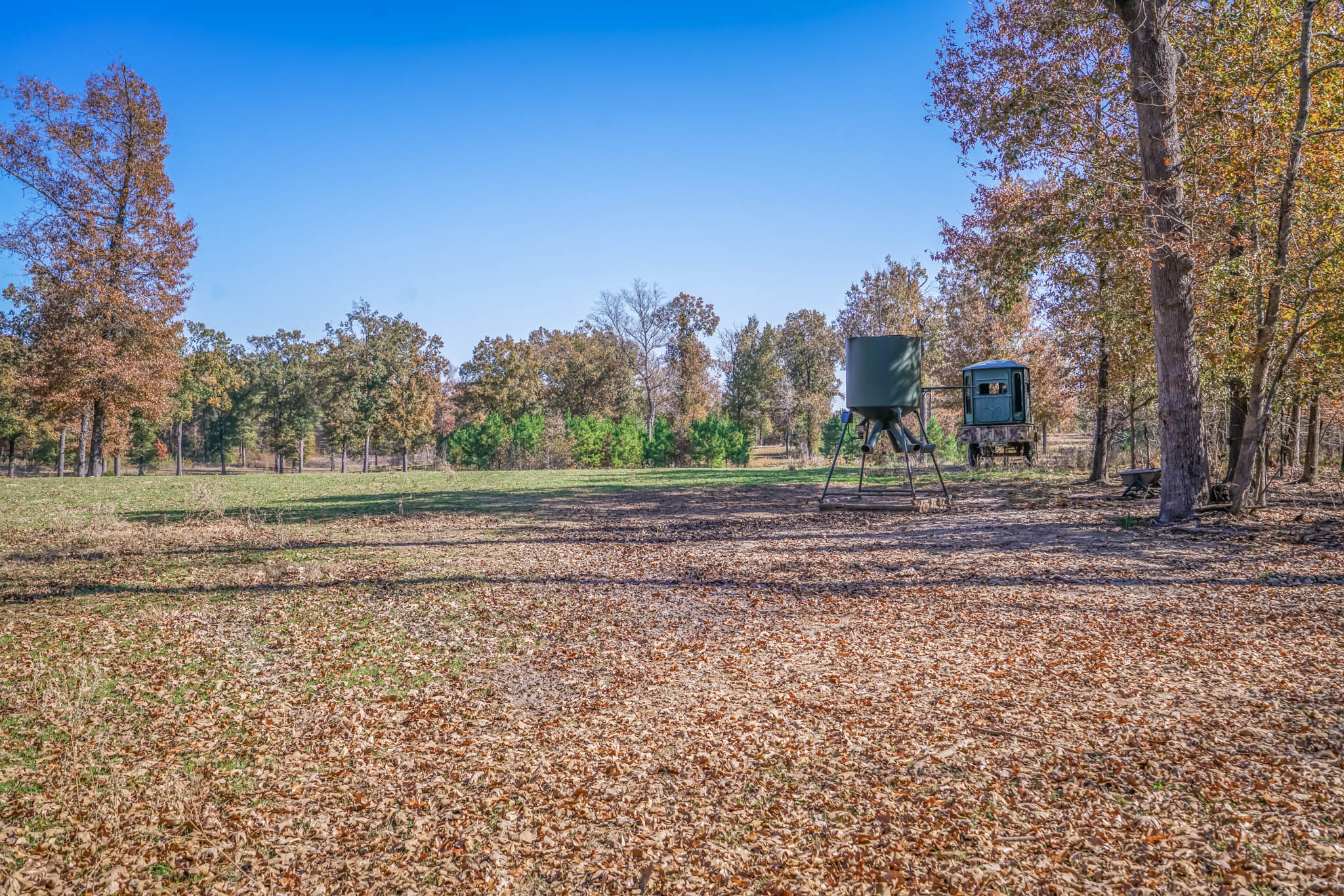 216 acres in Red River County Texas for Sale