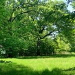 12 acres in Titus County