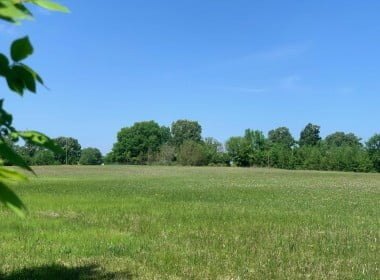 20 acres in Titus County
