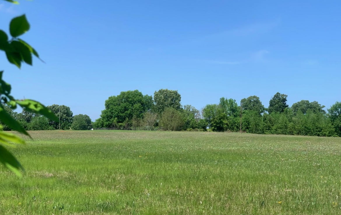 20 acres in Titus County