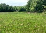 12 acres in Titus County
