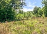 16 acres in Titus County