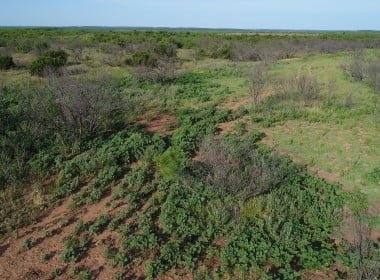 175 acres in Foard County