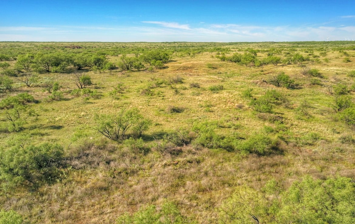 383 acres in Baylor County