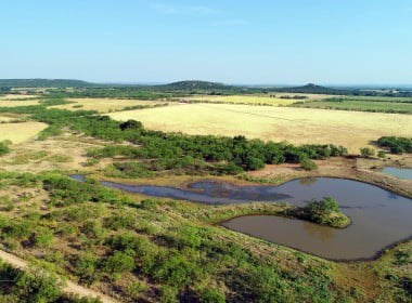 241 acres in Coleman County