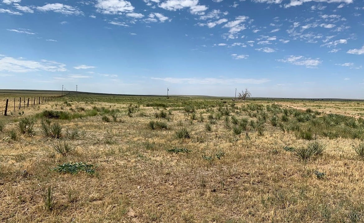 3853 acres in Randall County