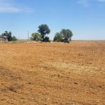160 acres in Knox County