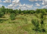 27 acres in Wilbarger County