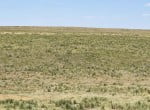 3853 acres in Randall County