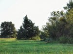 28 acres in Montague County