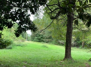 40 acres in McCurtain County