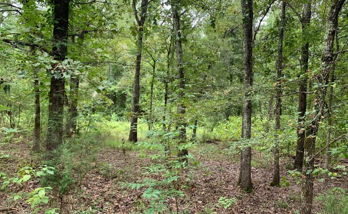 40 acres in McCurtain County