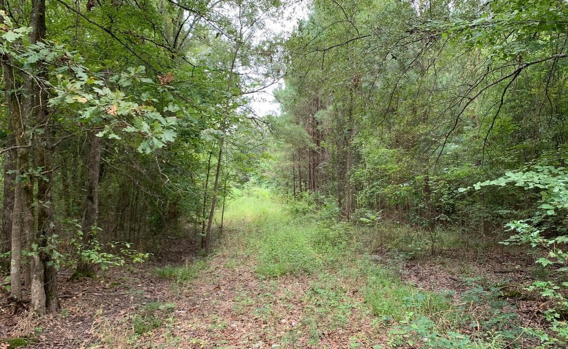 40 acres in McCurtain County