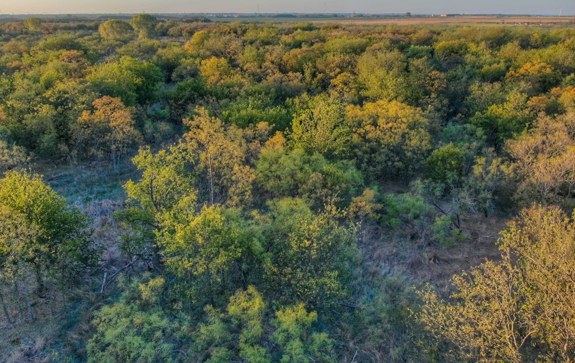165 acres in Wilbarger County